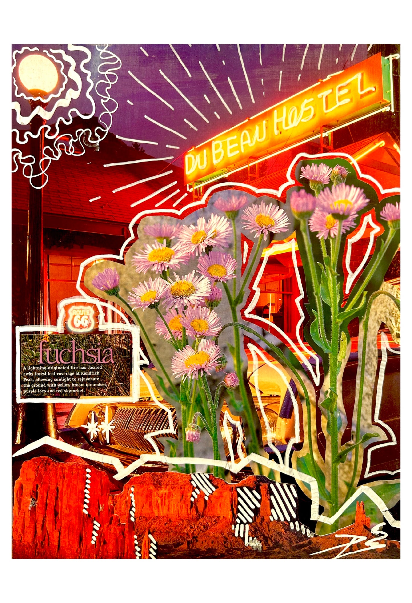 " FUCHSIA " | 2024 | PRINT
